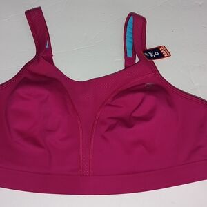 Champion Magenta Sports Bra